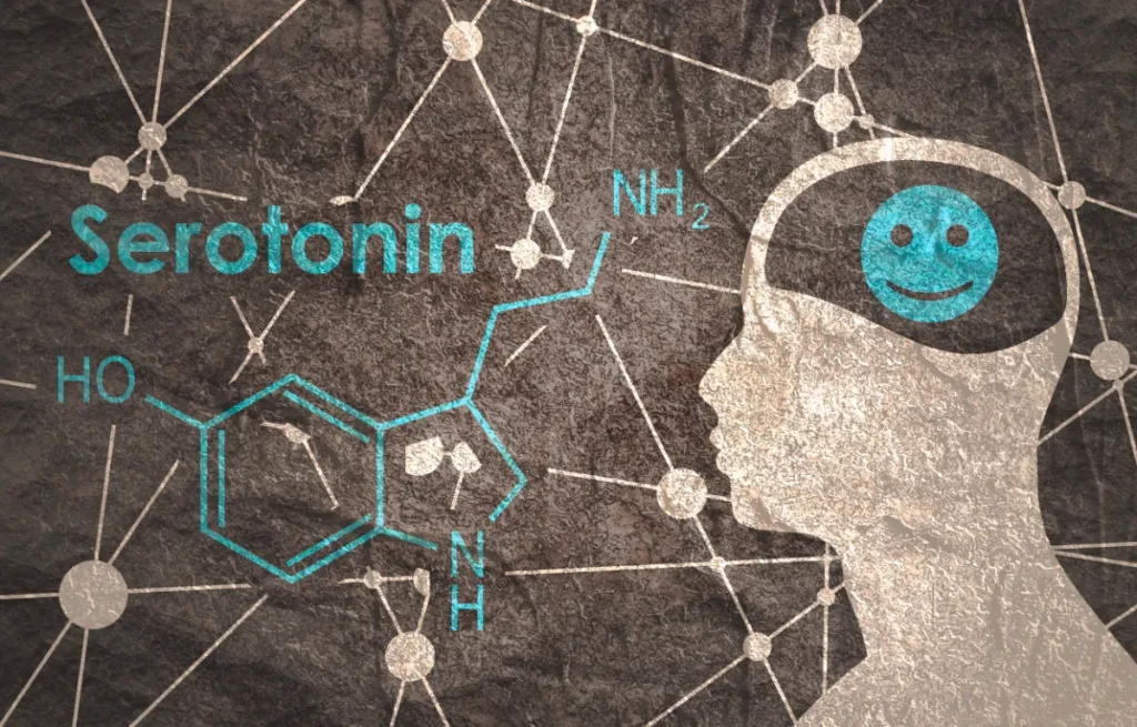 Serotonina - Ormone
